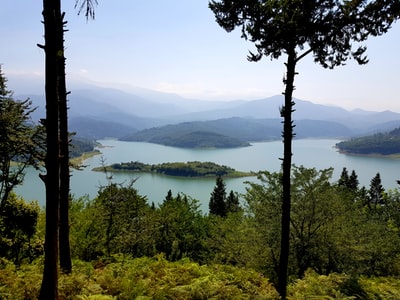 树木和岛屿在白天
